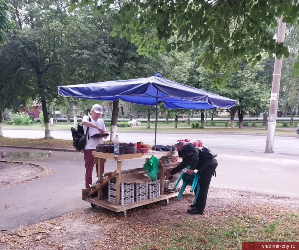 Фото: администрация города Владимира