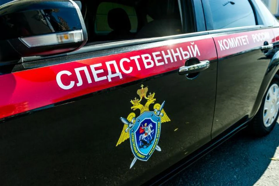 Житель Владивостока получил 16 лет колонии за убийство матери и сестры