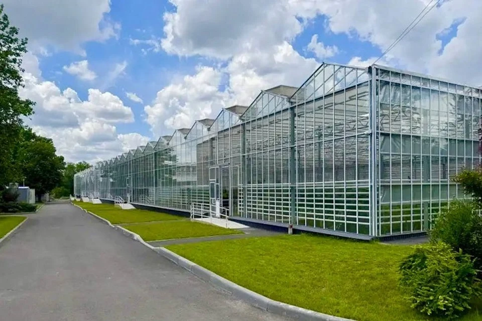 В Донецке завершают капитальный ремонт ботанического сада. Фото: ФАУ «РосКапСтрой»