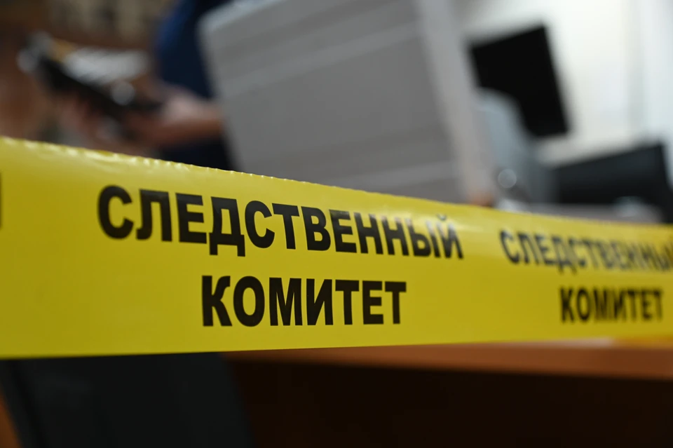 Следком возбудил уголовное дело по ст. 106 УК РФ (убийство матерью новорожденного ребенка).