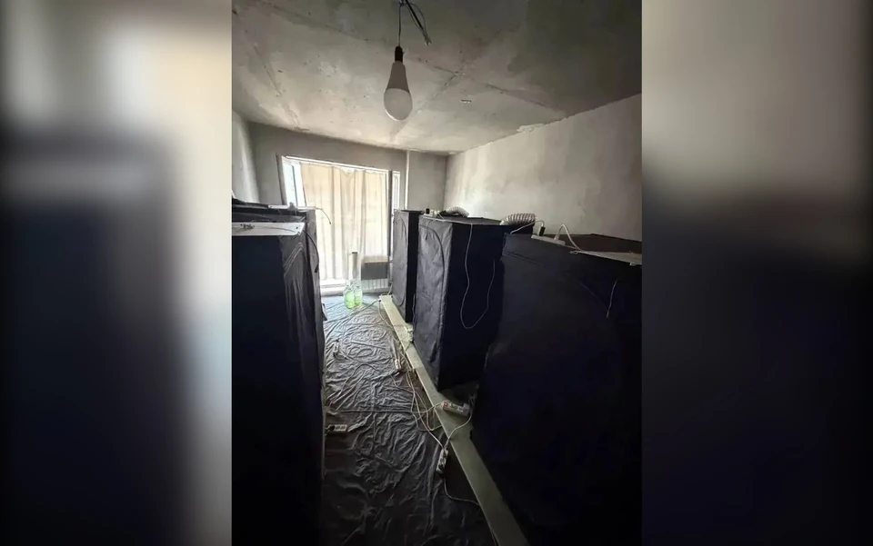 Фото: МВД
