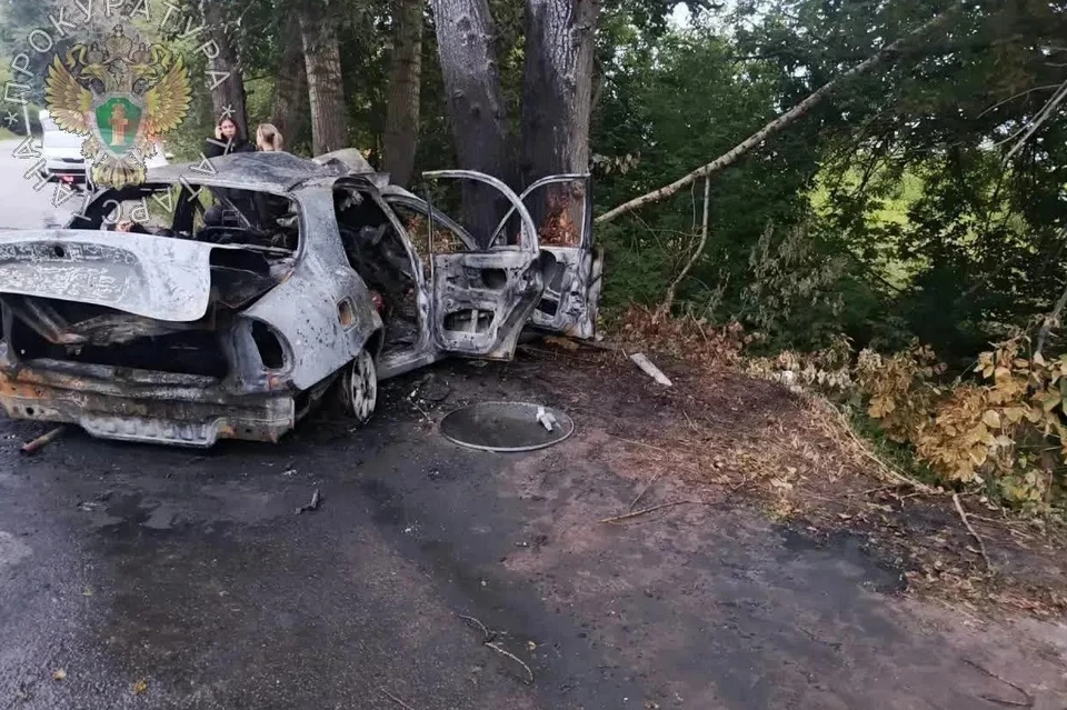 Автомобиль врезался в дерево и полностью выгорел. Фото: пресс-служба прокуратуры Республики Татарстан
