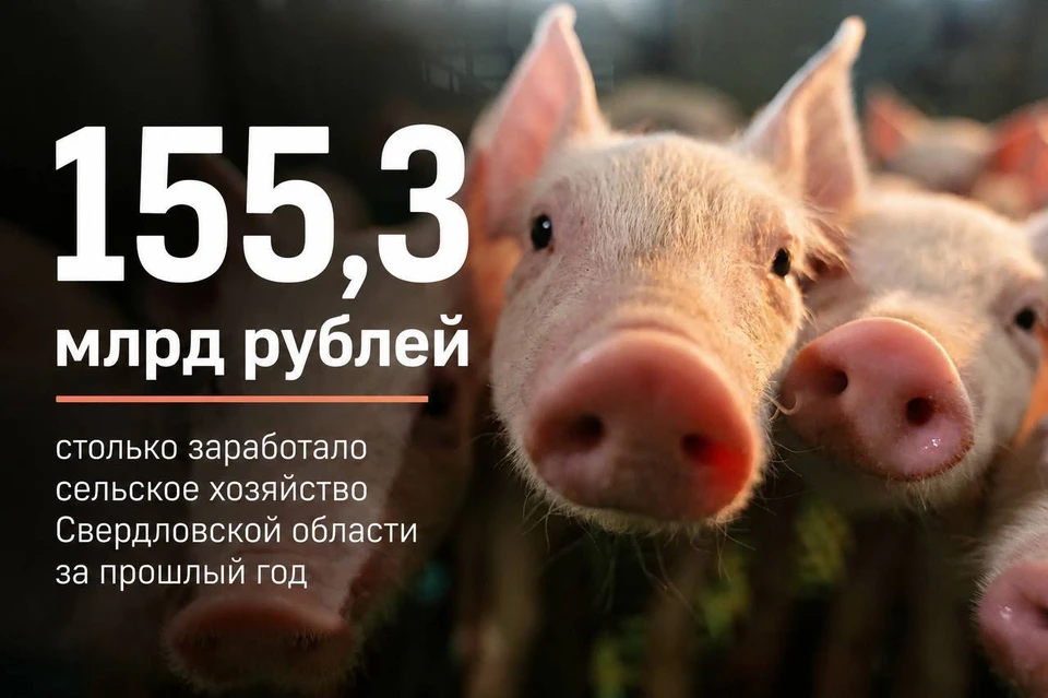 Фото: предоставлено Сибагро