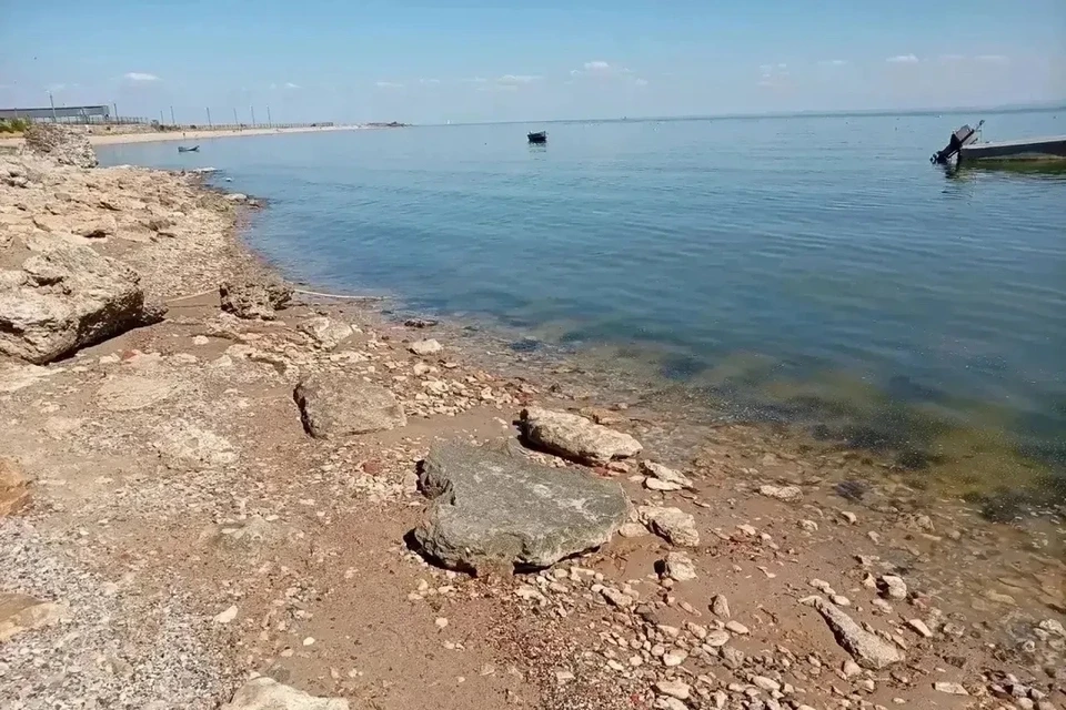 Городской штаб и волонтеры проверяют берег дважды в день. Фото: канал главы Таганрога Светланы Камбуловой в МАХ