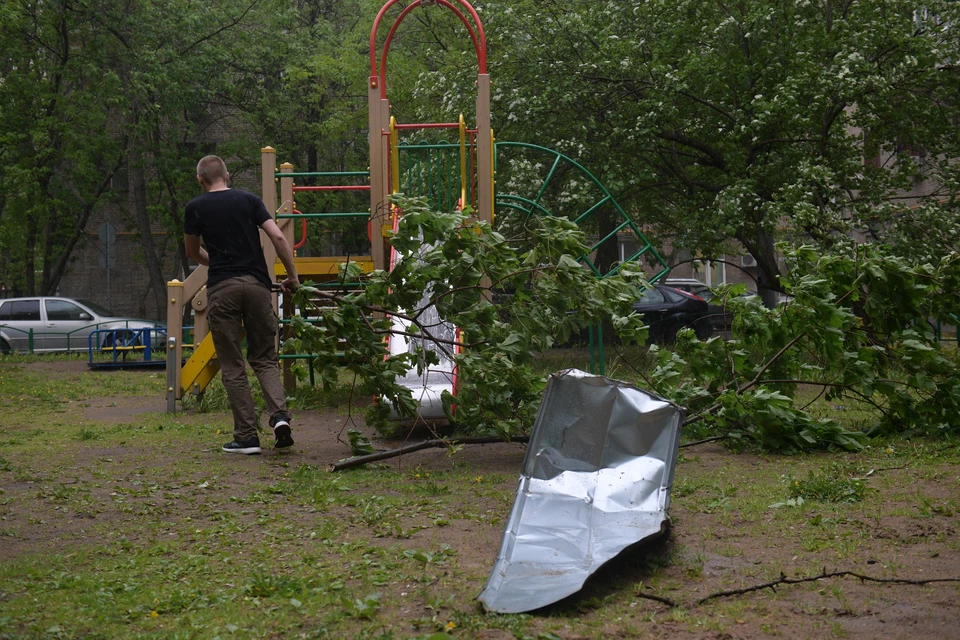 В парках Ростова после урагана упало 103 дерева.