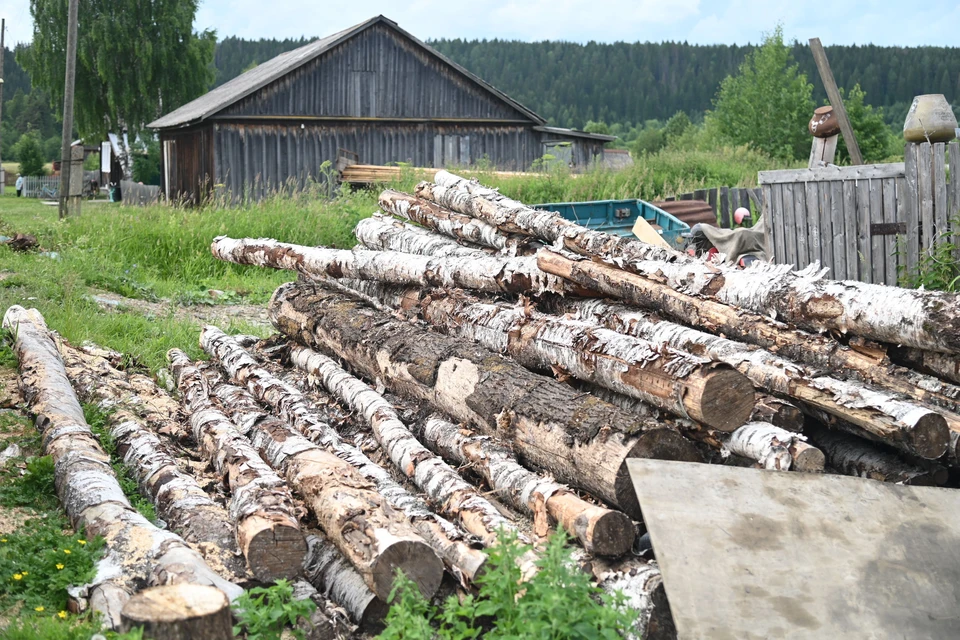 78-летний нижегородец убил знакомого и закопал тело у себя в огороде.