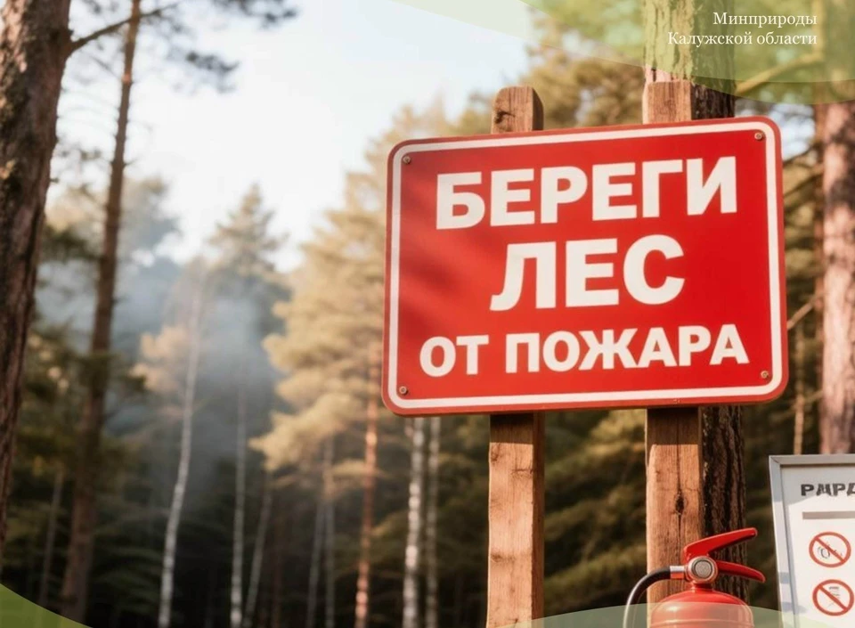 Калужское Минприроды определило победителей конкурса «Береги лес от пожаров».