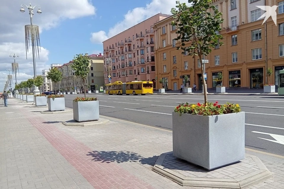 «Минскзеленстрой» высказался про установку лип в кадках в центре Минска. Снимок носит иллюстративный характер. Фото: читатель «КП»