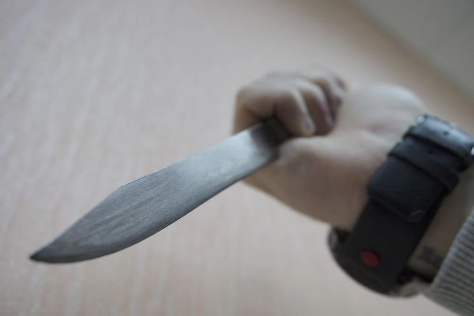 Приставы изъяли ножи у посетительницы суда в Туле.