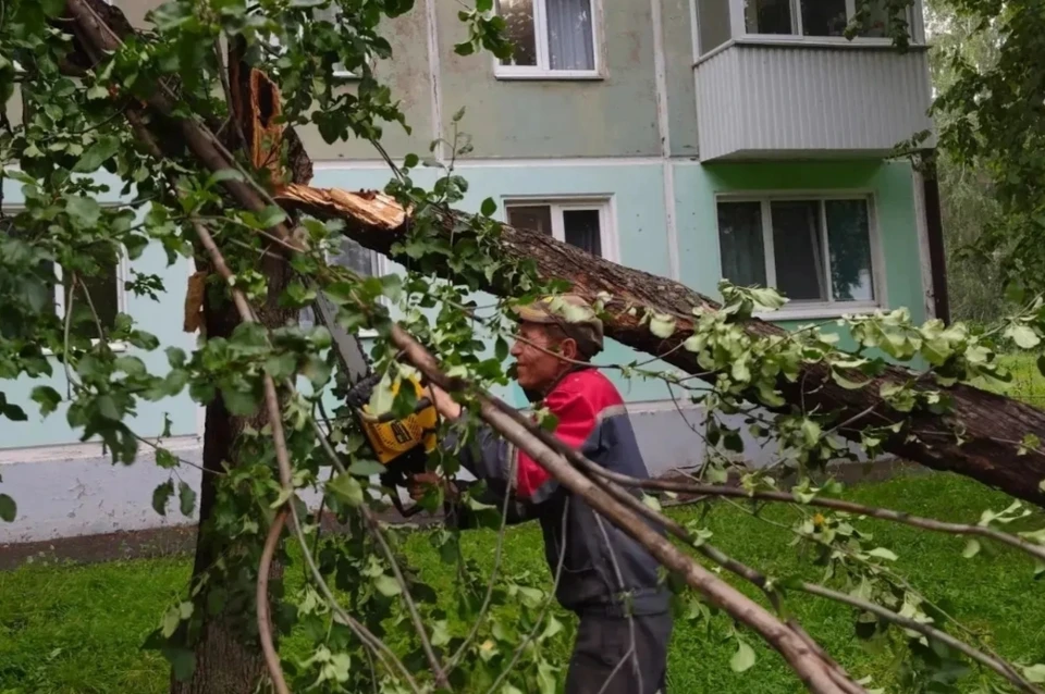 Шквал и ливень повалили деревья в Уфе, экстренные службы устранили последствия. Фото: администрация Уфы.