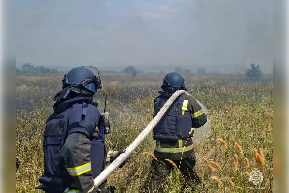 40 пожаров потушили в регионе за сутки. Фото: ГУ МЧС России по Запорожской области