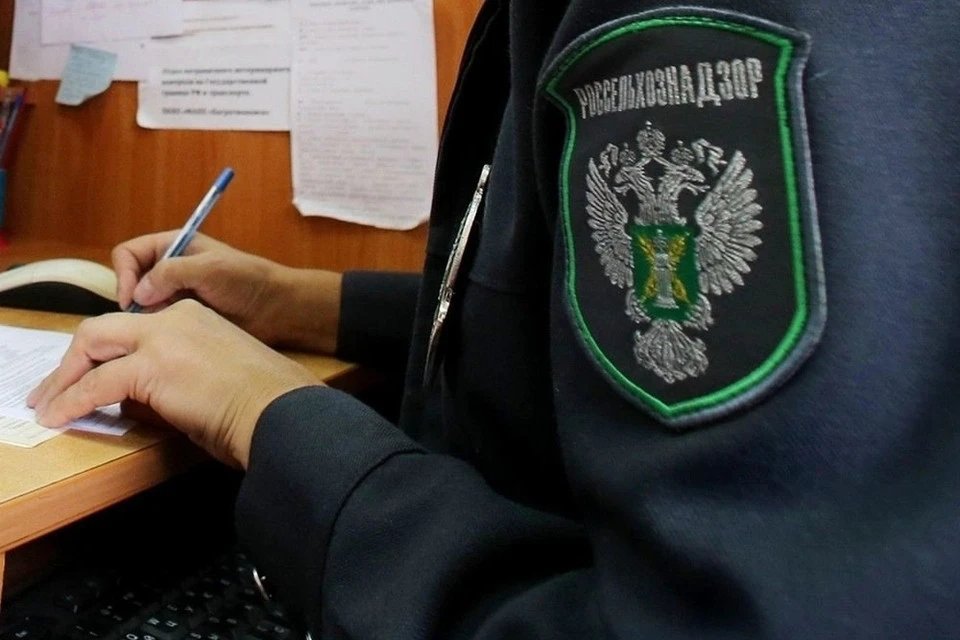 Специалисты РСХН выявили нарушение в ходе дистанционного контроля. Фото: Россельхознадзор