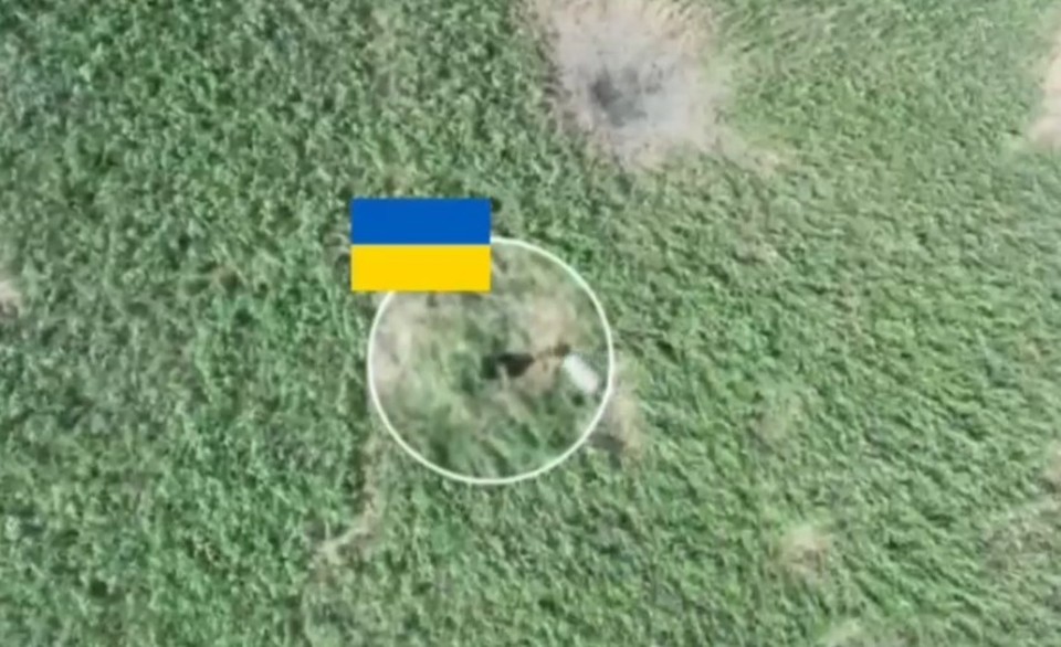 Десантники ВС РФ остановили в камышовом поле группу украинской пехоты