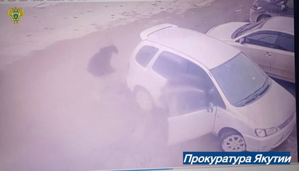 В Якутске осудят водителя, сбившего двухлетнего ребенка на парковке Фото: прокуратура Якутии
