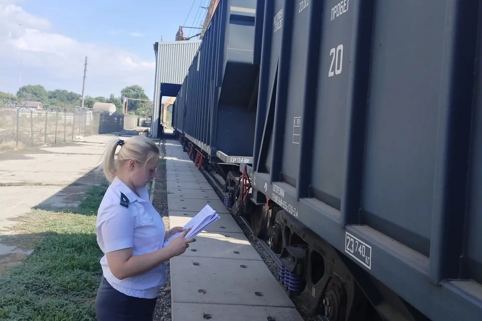 Специалисты проверили продукцию перед отправкой Фото: Южное межрегиональное управление Россельхознадзора