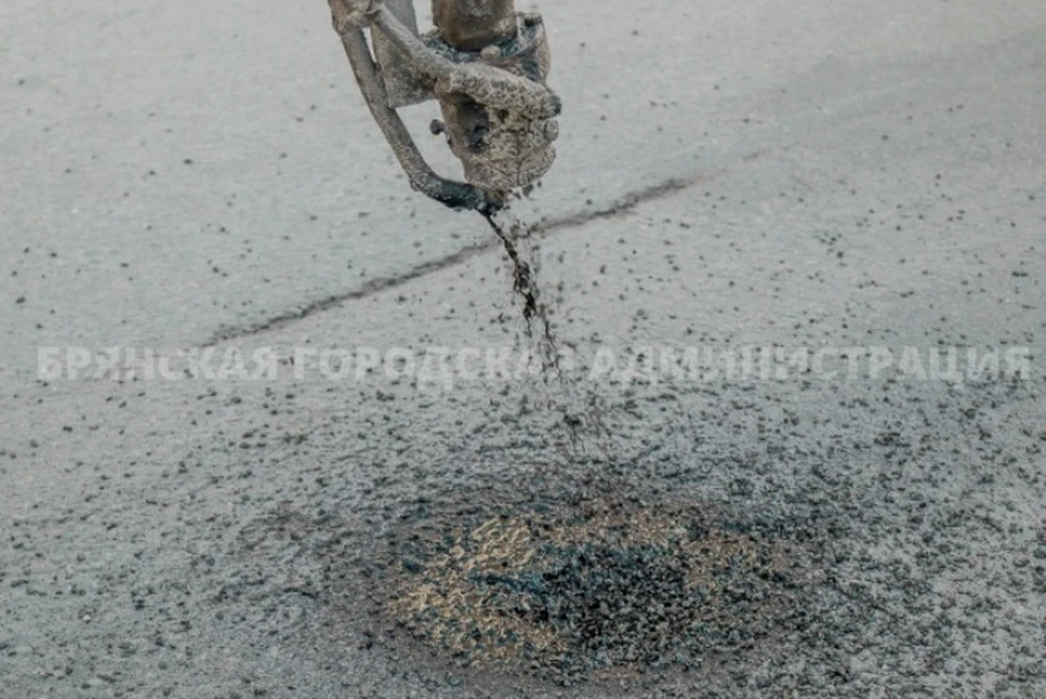 Фото: пресс-служба Брянской городской администрации.