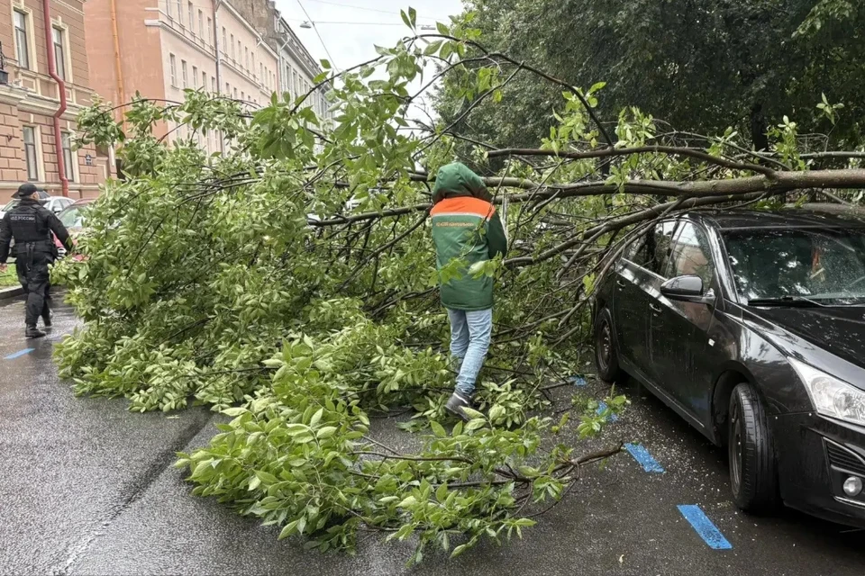 В Петербурге прошел циклон. Фото: https://max.ru/id7840424142_gos