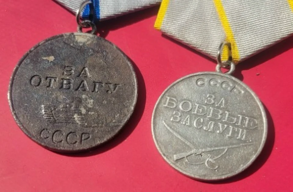 Фото: Вологодское объединение поисковиков. ВК.