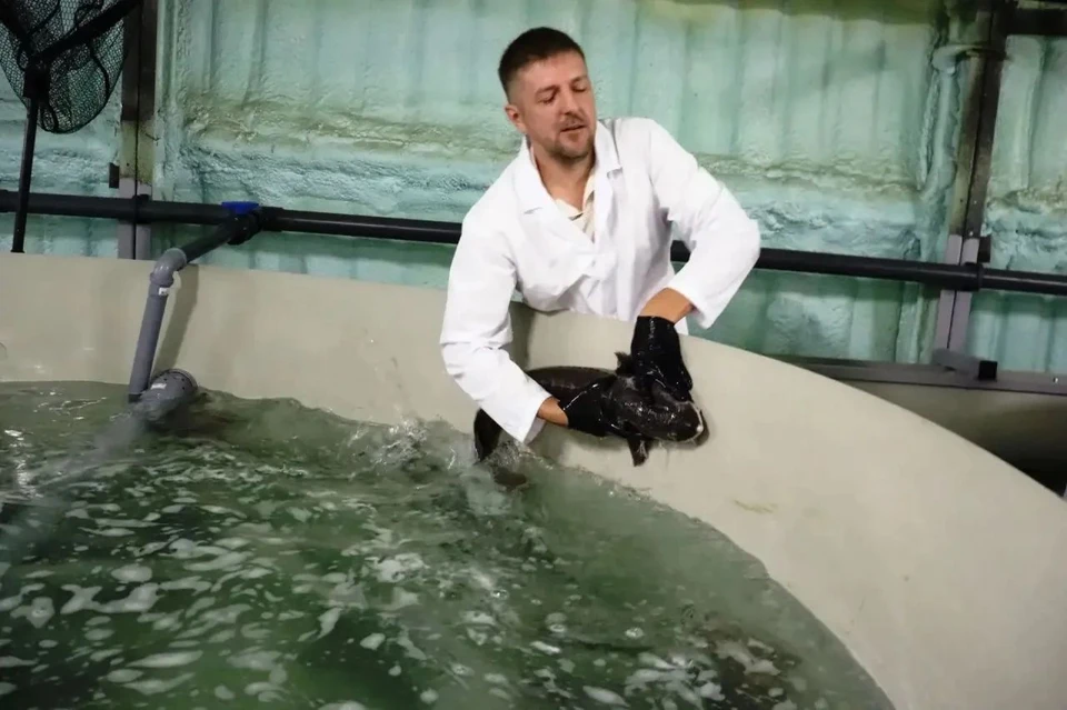 Фото: соцсети Ильи Середюка.