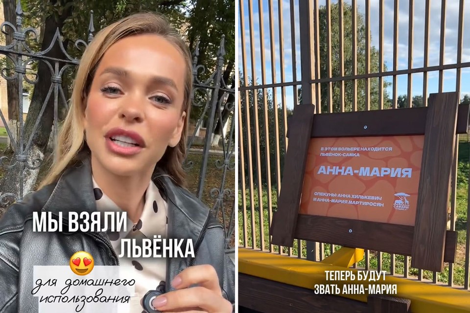 Анна Хилькевич объяснила подарок для дочери в виде живого львенка: «Ничего в этом страшного не вижу»