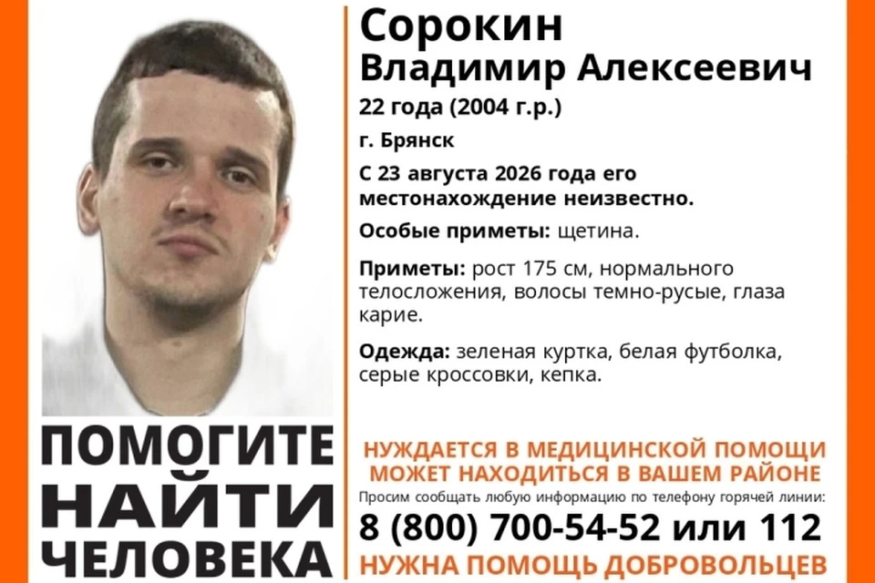 Фото: поисковый отряд "Лиза Алерт", ВКонтакте.