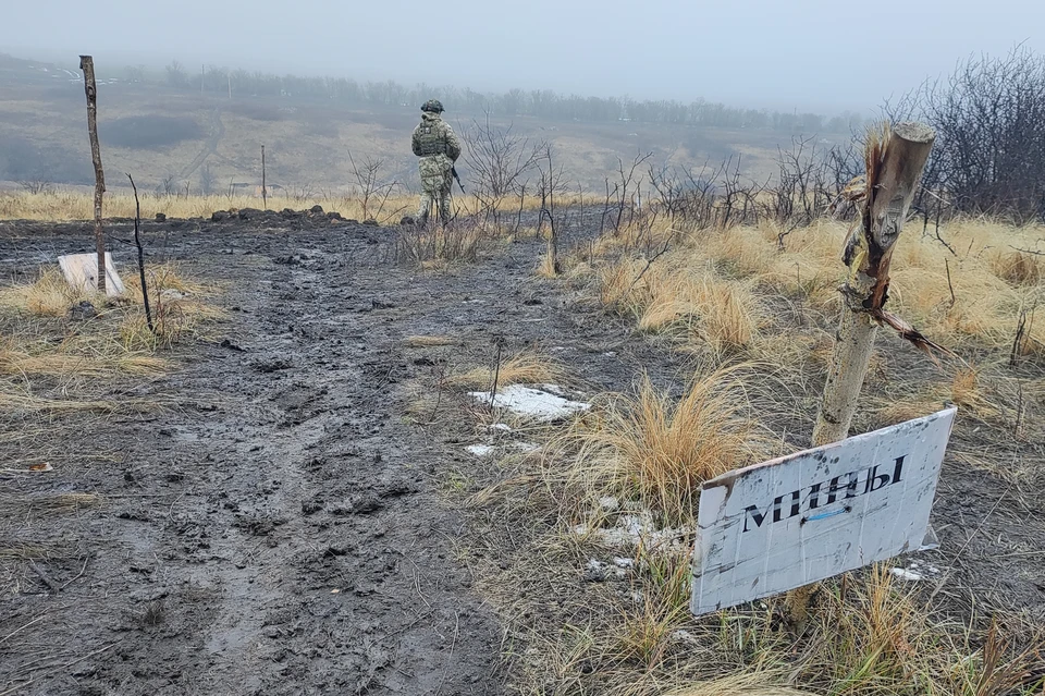 ВС РФ освободили Неженку в Запорожской области и Писаревку в Сумской