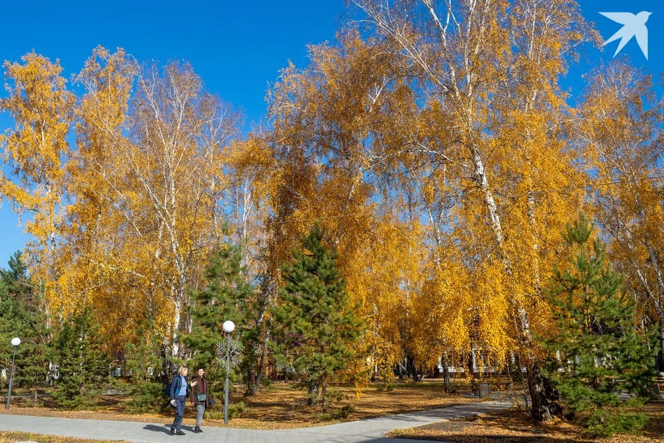 Будет ли осень золотой и теплой, покажет время. Фото: архив, носит иллюстративный характер.