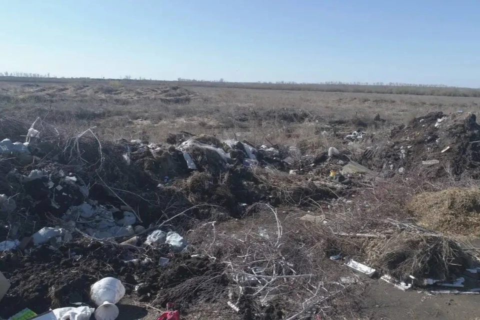 Фото: пресс-служба прокуратуры Омской области