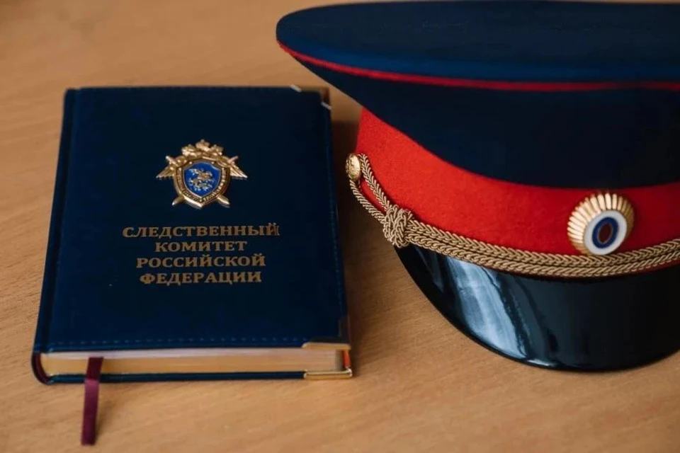Фото пресс-службы регионального СК.