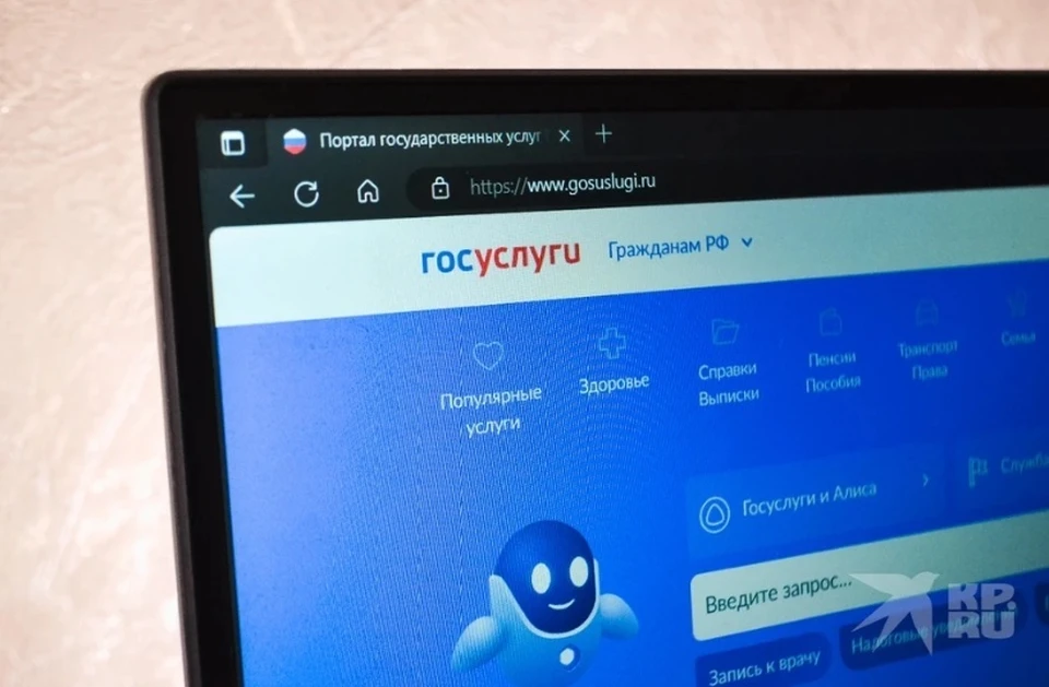 Рязанец попал под суд, помогая мошенникам взламывать аккаунты на «Госуслугах».