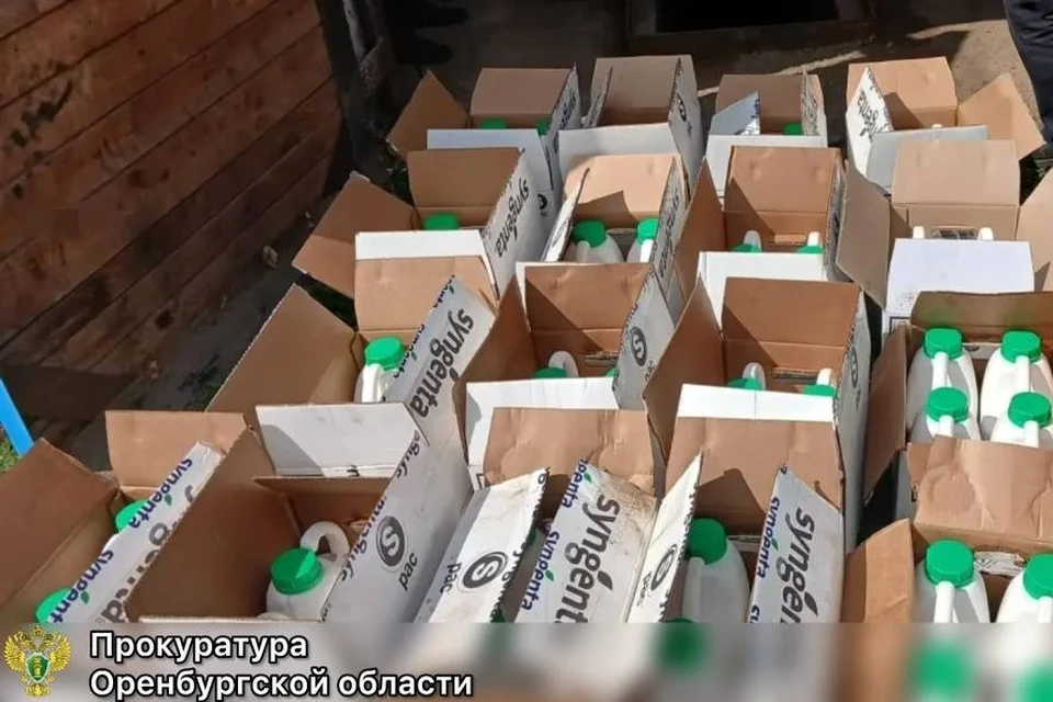 В июле 2026 года обвиняемые, работая на полях вблизи сел Воскресеновка и Нижний Гумбет Октябрьского района, обрабатывали посевы подсолнечника местного фермера