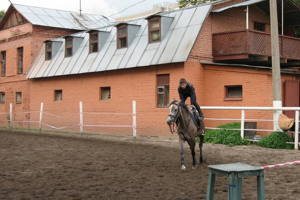 Одному из старейших конных центров в Петербурге не продлили аренду. Фото: Конный центр "Простор"/vk.ru/club901840