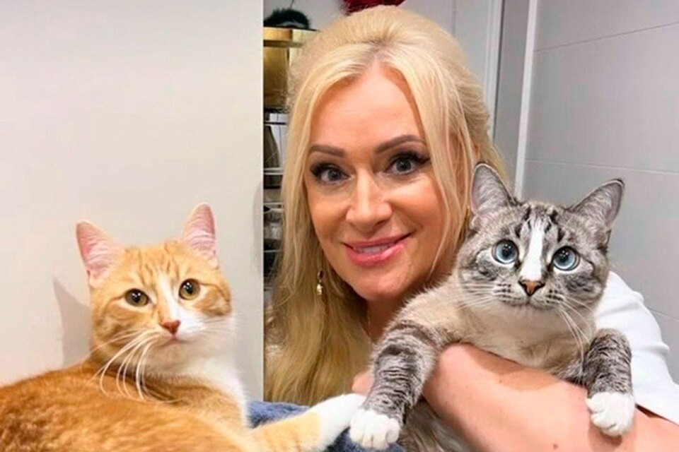 Билан отдал миллионы на спасение кота из Донецка, а кошка Бони живет лучшую жизнь на курорте: Пять трогательных историй звезд и бездомных животных