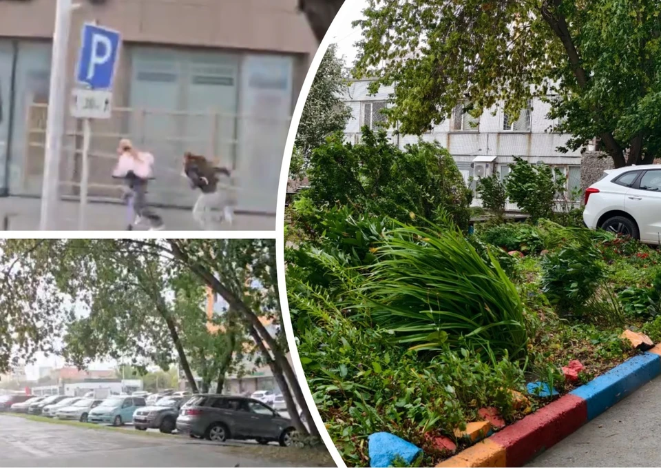 Первый день осени в Новосибирске начался с непогоды и сильного ветра.
