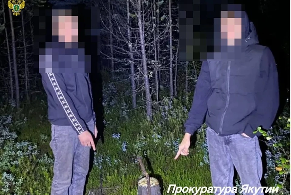 Двоих закладчиков, устроивших 116 тайников с наркотиками, осудили в Нерюнгри