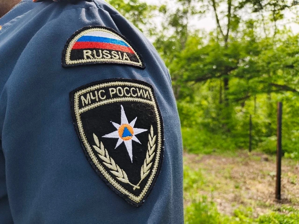 Фото: Маргарита Сурина