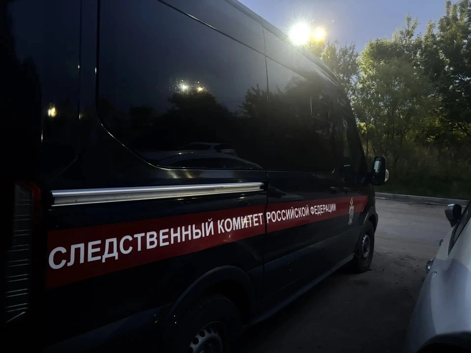 Фото: Железная Валерия
