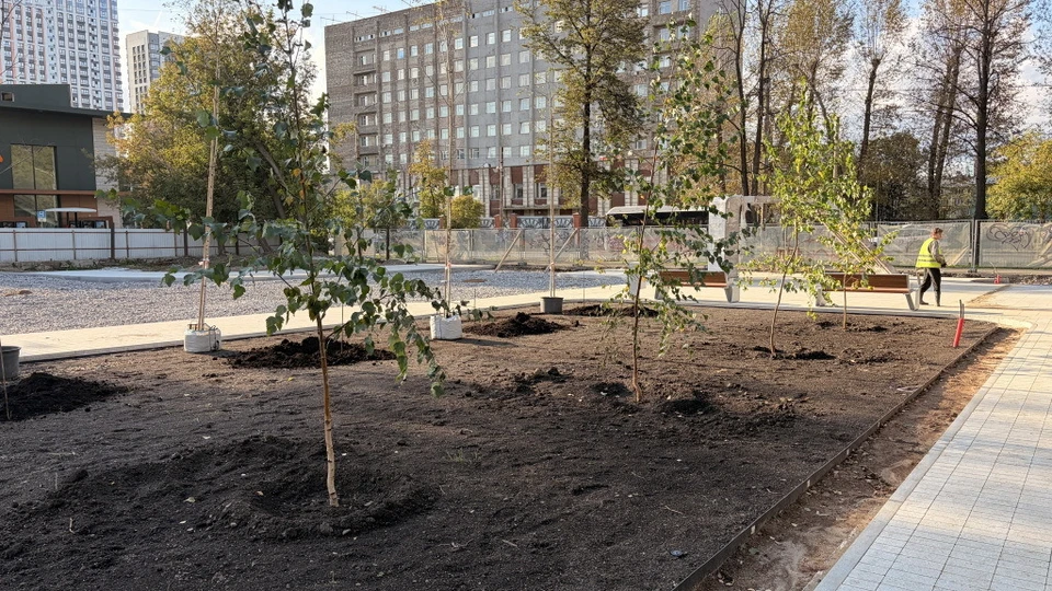 Фото: пресс-служба краевого правительства