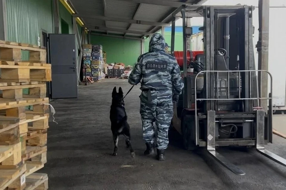 В Красноярске на оптовом складе полиция обнаружила 11 нелегалов. Фото: МВД