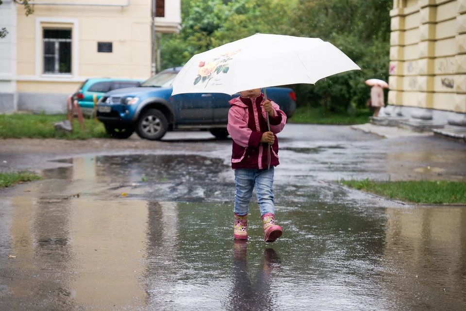 Метеорологи прогнозируют дожди в течение дня на всей территории Томской области