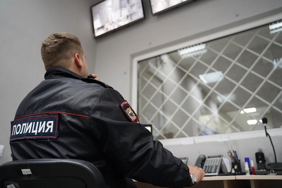 Павел Селезнев и Михаил Дудин могут быть связаны с ОПГ «Сиротинские».