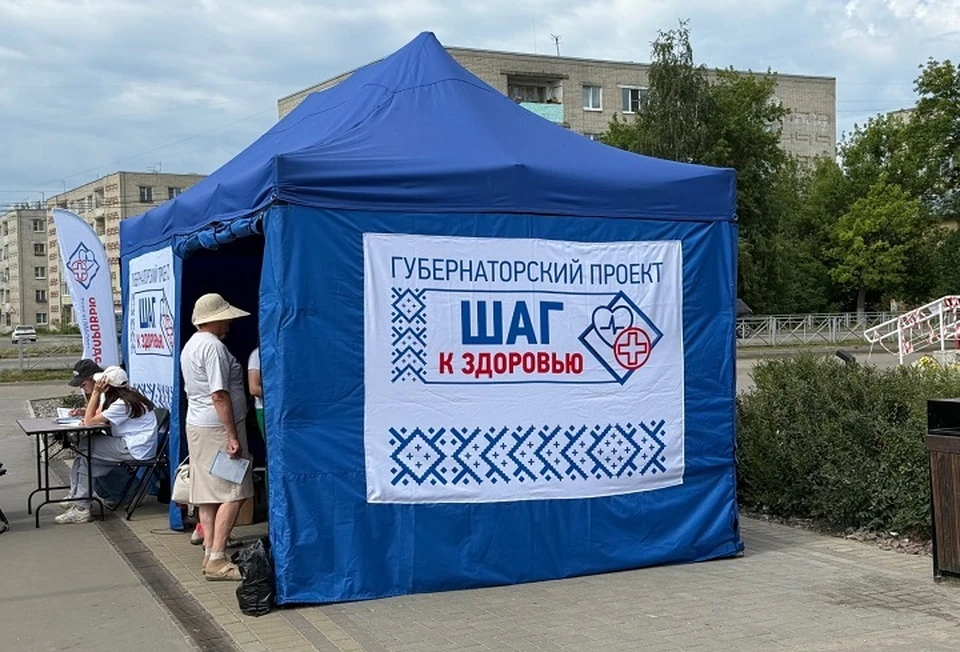 Проект продолжится и в холодное время года. ФОТО: правительство Костромской области