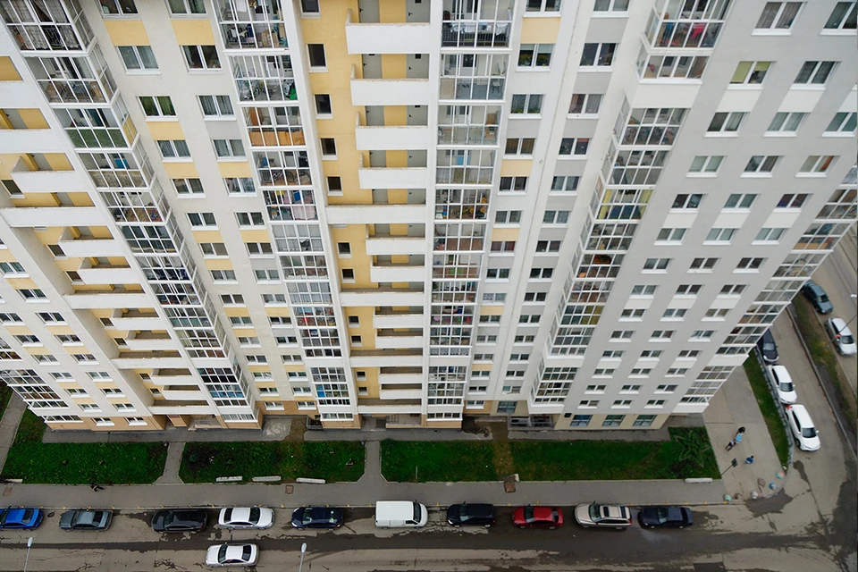 Щенка выбросили в верхних этажей многоэтажки.