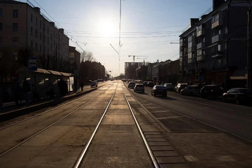 Фото: Александр Новиков.