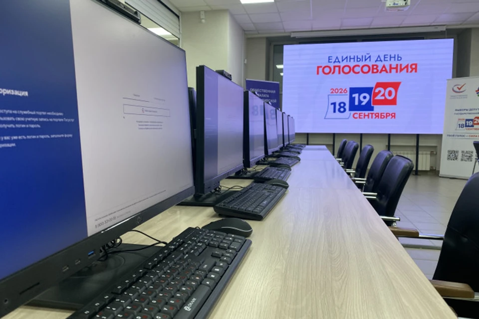 На избирательных участках организовано видеонаблюдение. Фото: nso.ru