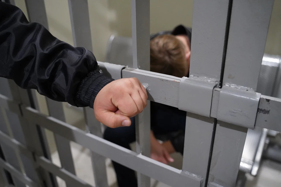 Отбывать наказание томич будет в исправительной колонии общего режима