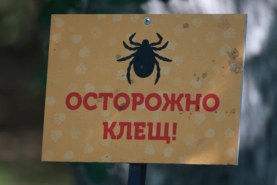 Активность клещей снижается