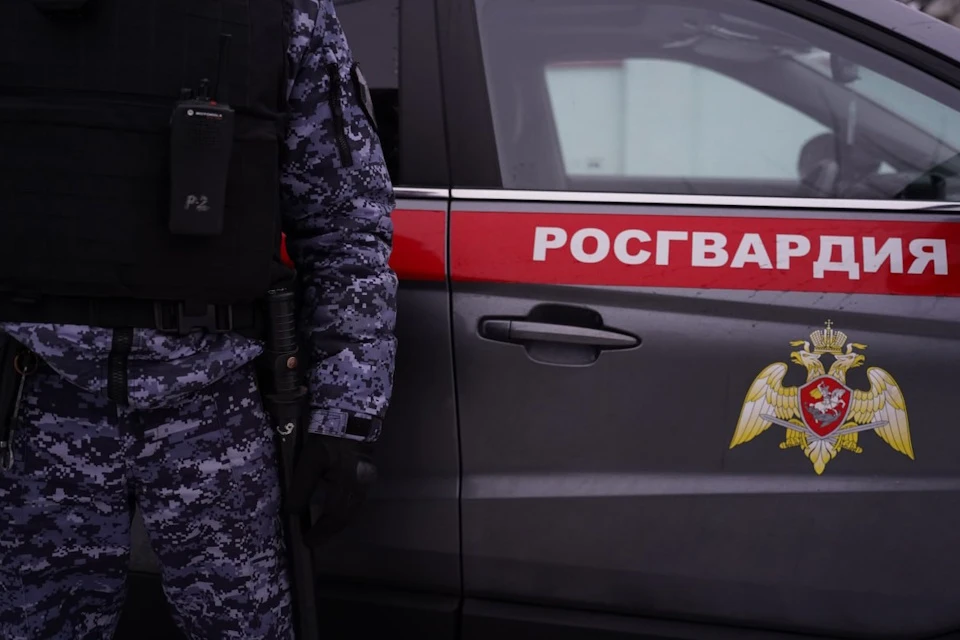 В Москве росгвардейцы задержали мужчину за стрельбу из пневматической винтовки