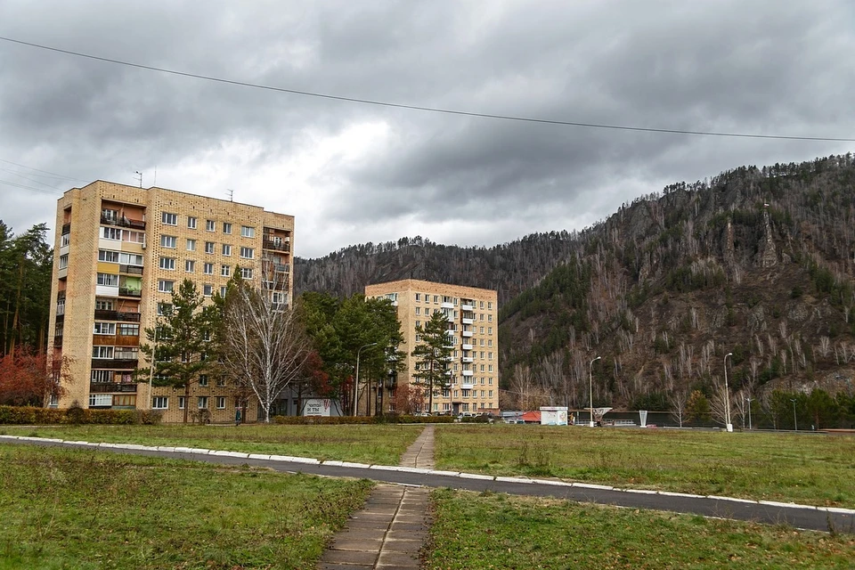 В Дивногорске из-за медведей ввели режим повышенной готовности