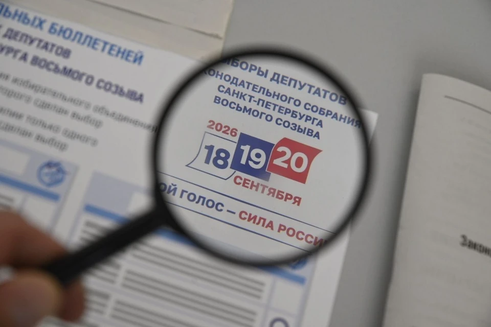 Суд отстранил от работы члена избиркома в Петербурге.